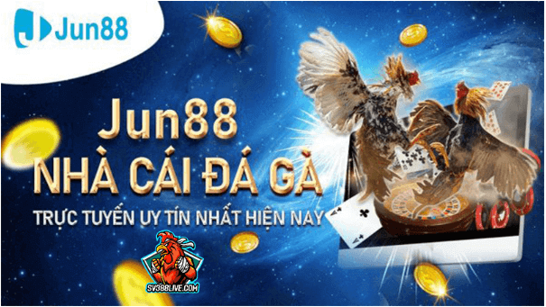 Đá gà online tại casino jun88